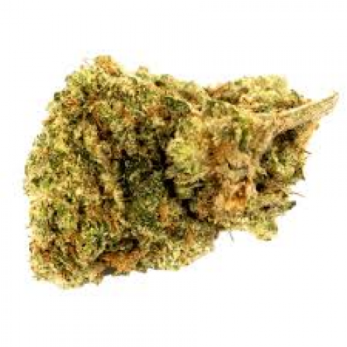 Gas Leak – AAA   80% Indica / 20% Sativa – THC 15-23% 