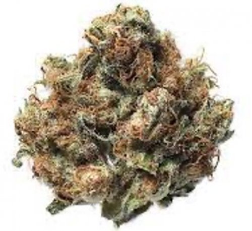 NEW! Dysfunction Junction - AAA  80% Indica / 20% Sativa – THC 28-30%
