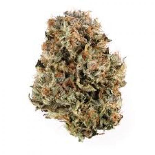 Blue Cheese - A   80% Indica / 20% Sativa– THC 20%