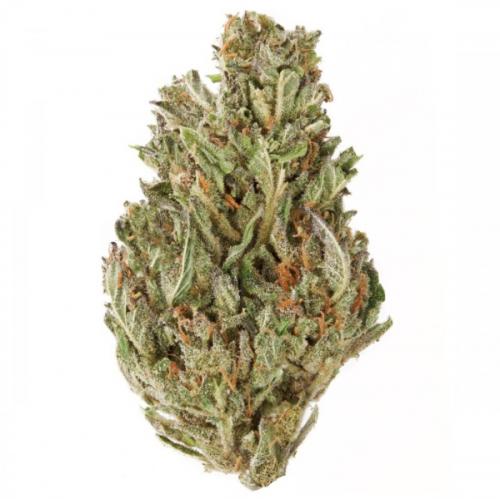 Blue Gas - AAAA - 75% Indica / 25% Sativa - THC 28%