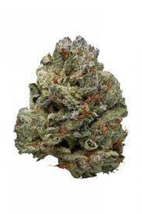 NEW! Gucci Pink - AAAA- Hybrid – THC 33% 