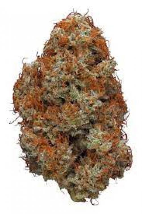 NEW! Red Bomb - AA - 50/50 Hybrid - THC 20-25%