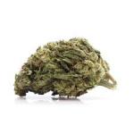 Gorilla Glue – AA - Sativa Dominant Hybrid – THC 24%