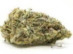 NEW! LA Tanker - AAA - 80% Indica / 20% Sativa -THC 25-28%